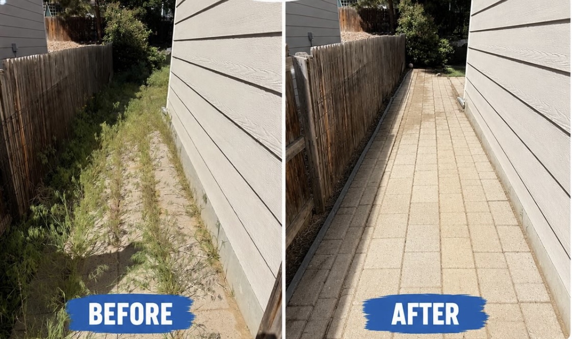 Before and after weed removal service